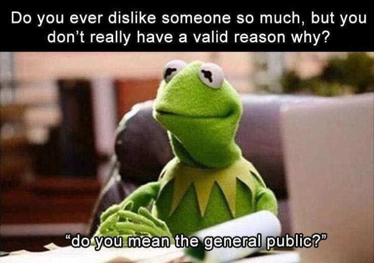 kermit the frog meme - Do you ever dis someone so much, but you don't really have a valid reason why? do you mean the general public?"
