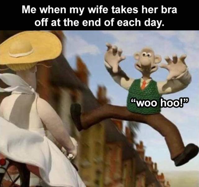 wallace and gromit bra meme - Me when my wife takes her bra off at the end of each day. woo hoo!"