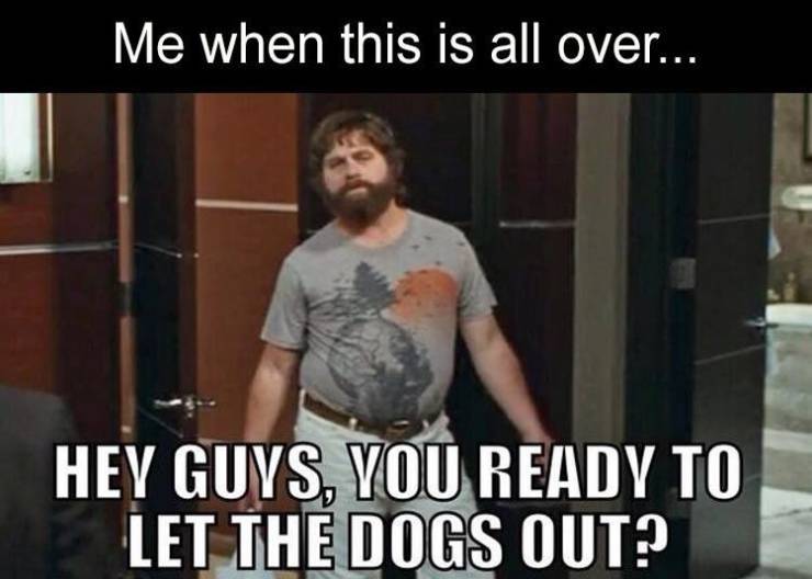 funny memes may 2020 - Me when this is all over... Hey Guys, You Ready To Let The Dogs Out?