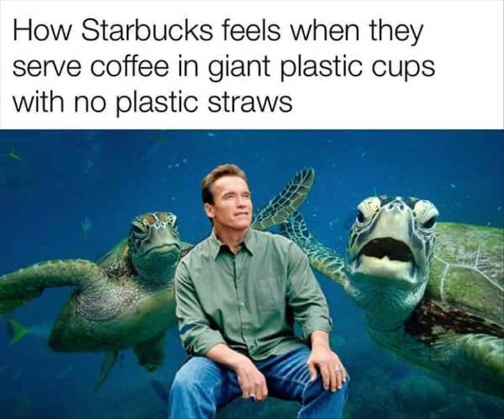 friday fun animals - How Starbucks feels when they serve coffee in giant plastic cups with no plastic straws