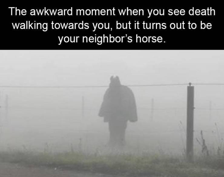 fog - The awkward moment when you see death walking towards you, but it turns out to be your neighbor's horse.
