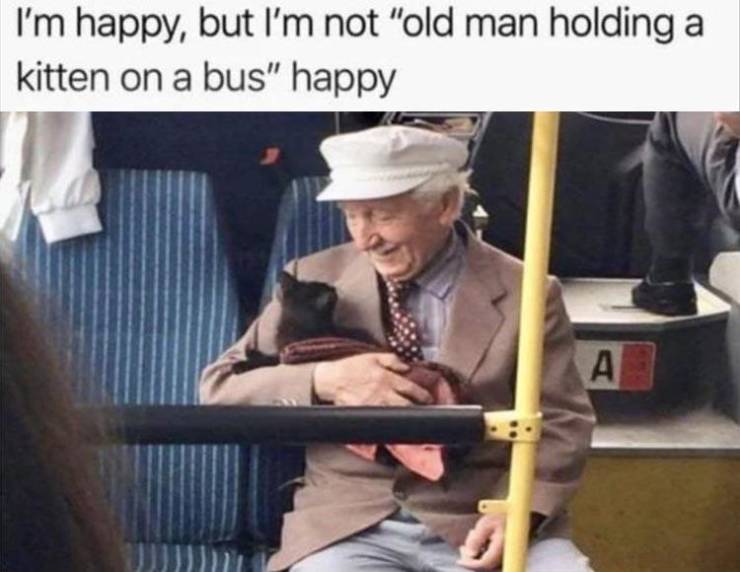 old man holding cat in bus - I'm happy, but I'm not "old man holding a kitten on a bus" happy
