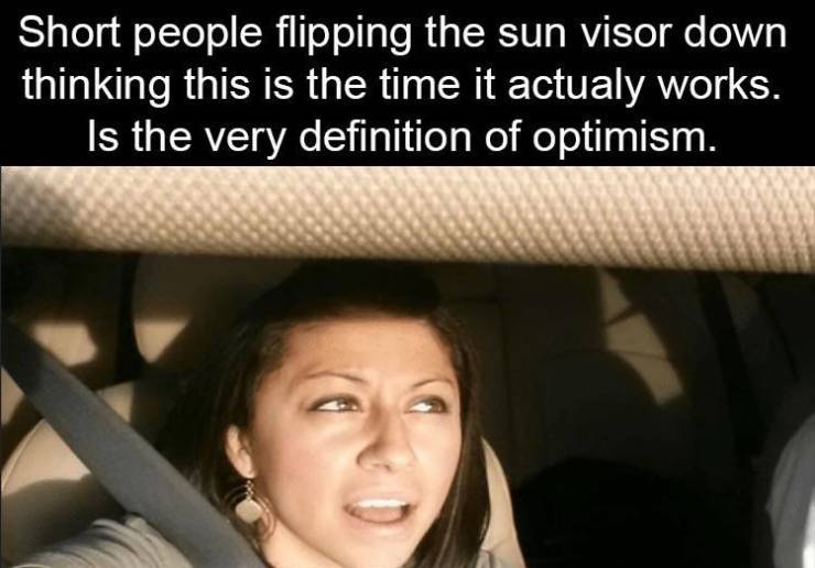 head - Short people flipping the sun visor down thinking this is the time it actualy works. Is the very definition of optimism.