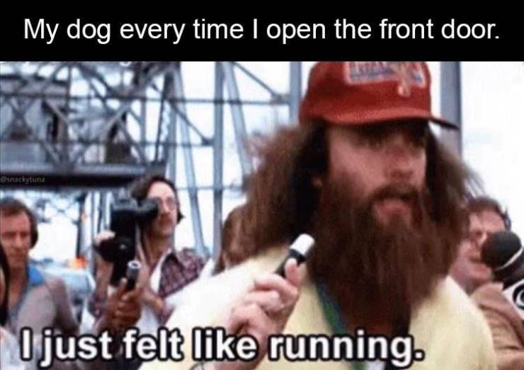 My dog every time I open the front door. Osudytuna I just felt running.