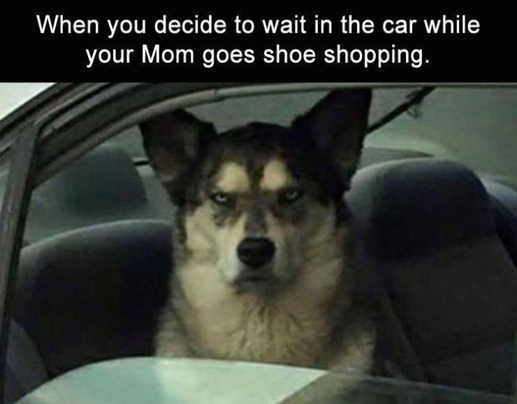 never mind funny - When you decide to wait in the car while your Mom goes shoe shopping.
