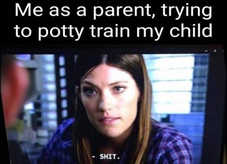 memes august 2019 - Me as a parent, trying to potty train my child Shit.
