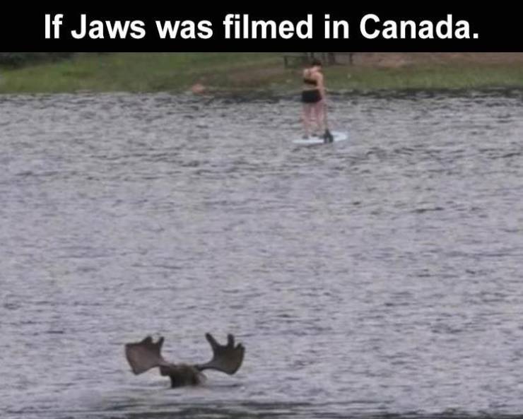 jaws canada - If Jaws was filmed in Canada.