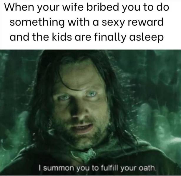 lord of the rings memes - When your wife bribed you to do something with a sexy reward and the kids are finally asleep | summon you to fulfill your oath. .
