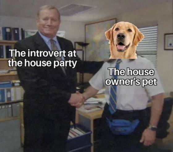 gulag memes warzone - The introvert at the house party The house owner's pet