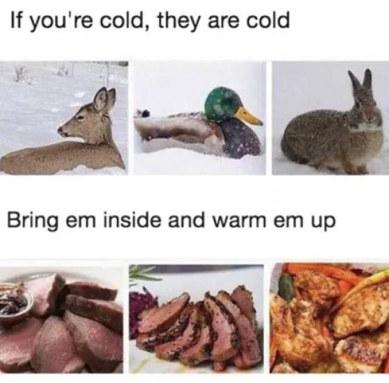 if you are cold they are cold - If you're cold, they are cold Bring em inside and warm em up