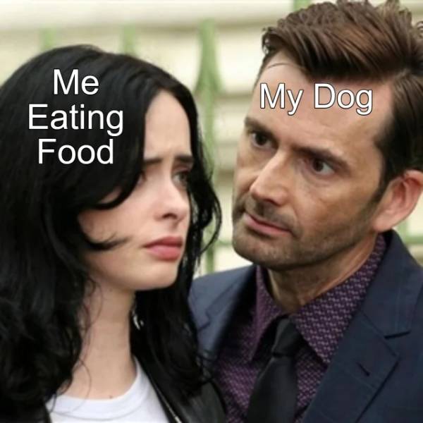 jessica jones meme blank - My Dog Me Eating Food
