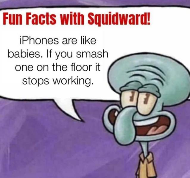 fun facts with squidward - Fun Facts with Squidward! iPhones are babies. If you smash one on the floor it stops working.