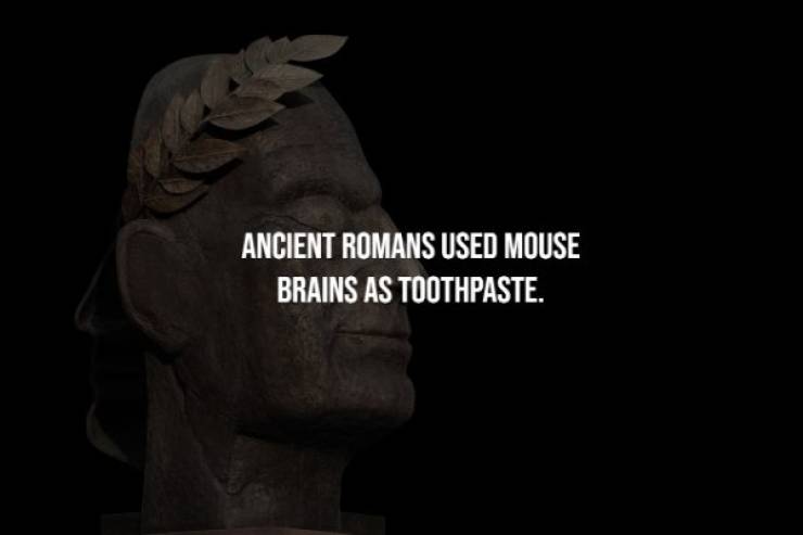 statue - Ancient Romans Used Mouse Brains As Toothpaste.