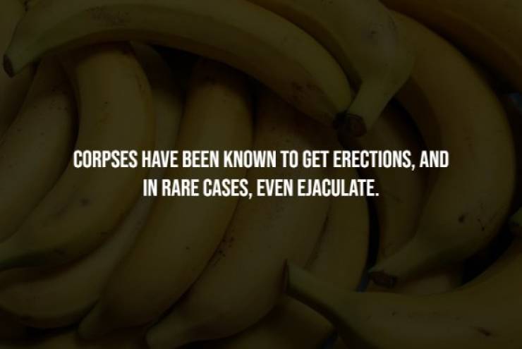 banana - Corpses Have Been Known To Get Erections, And In Rare Cases, Even Ejaculate.
