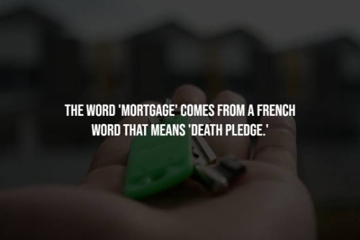 close up - The Word 'Mortgage' Comes From A French Word That Means 'Death Pledge.'