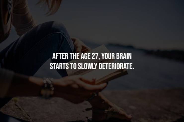 book lover - After The Age 27, Your Brain Starts To Slowly Deteriorate.