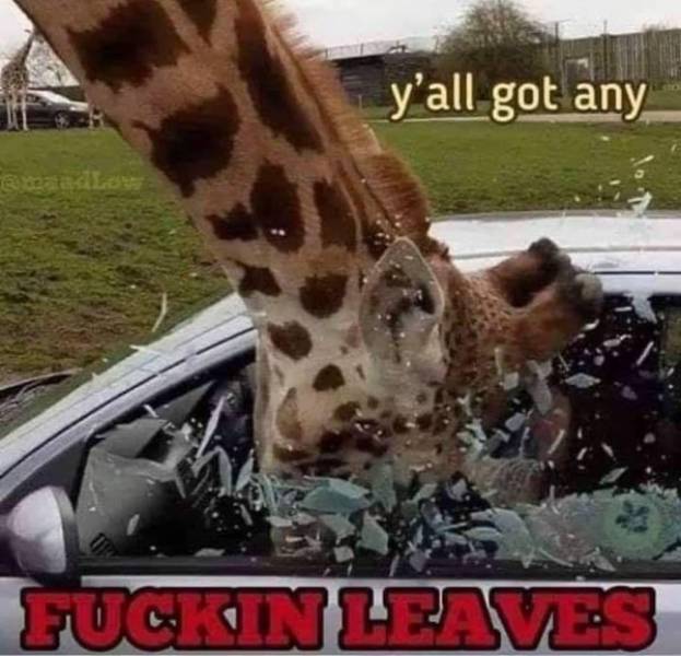 giraffe drone - y'all got any Fuckin Leaves