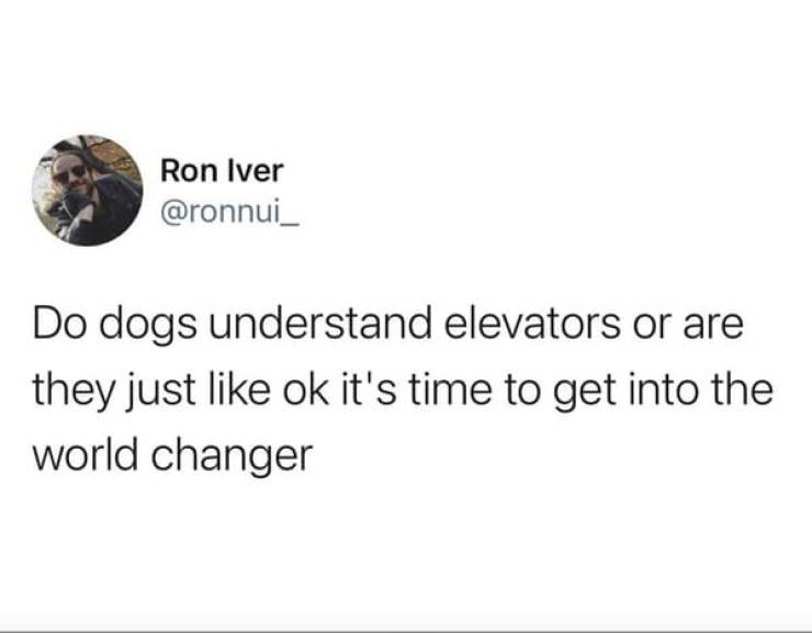 material - Ron Iver Do dogs understand elevators or are they just ok it's time to get into the world changer