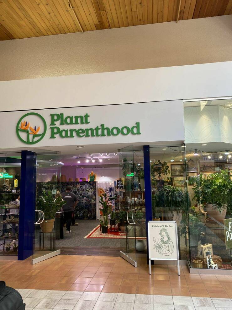 fun randoms outlet store - Plant Parenthood Childers Of The Sea Pa
