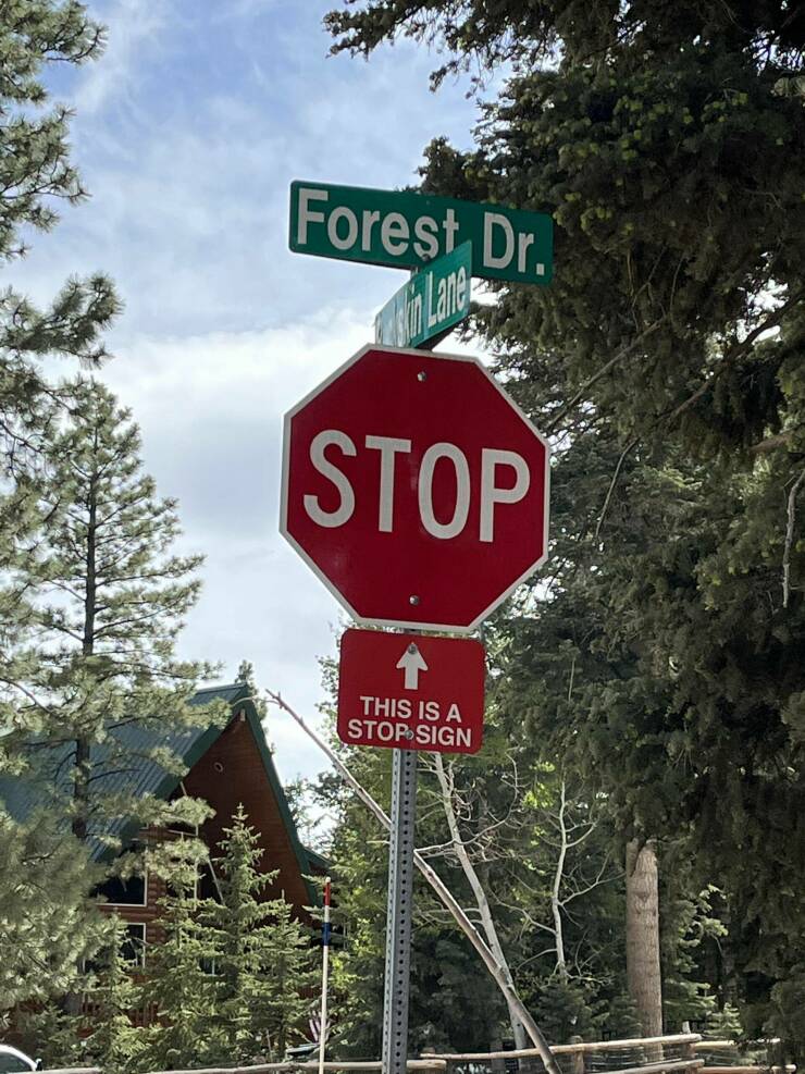 fun randoms - funny photos - stop sign - Forest Dr. Stop This Is A Stop Sign Schr