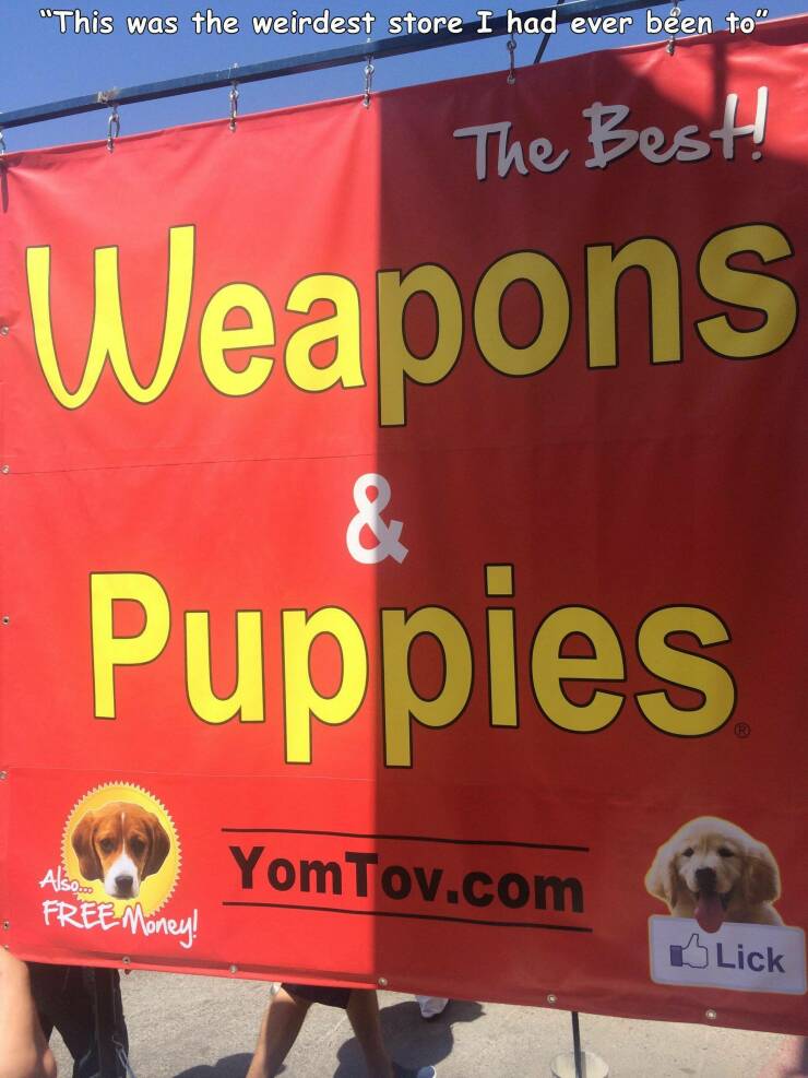 monday morning randomness - types of synonyms - "This was the weirdest store I had ever been to" The Best! Weapons & Puppies YomTov.com Also Free Money! Lick
