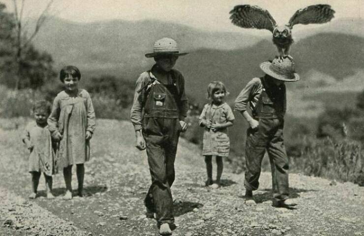 cool random pics for your daily dose - boy and his owl 1933