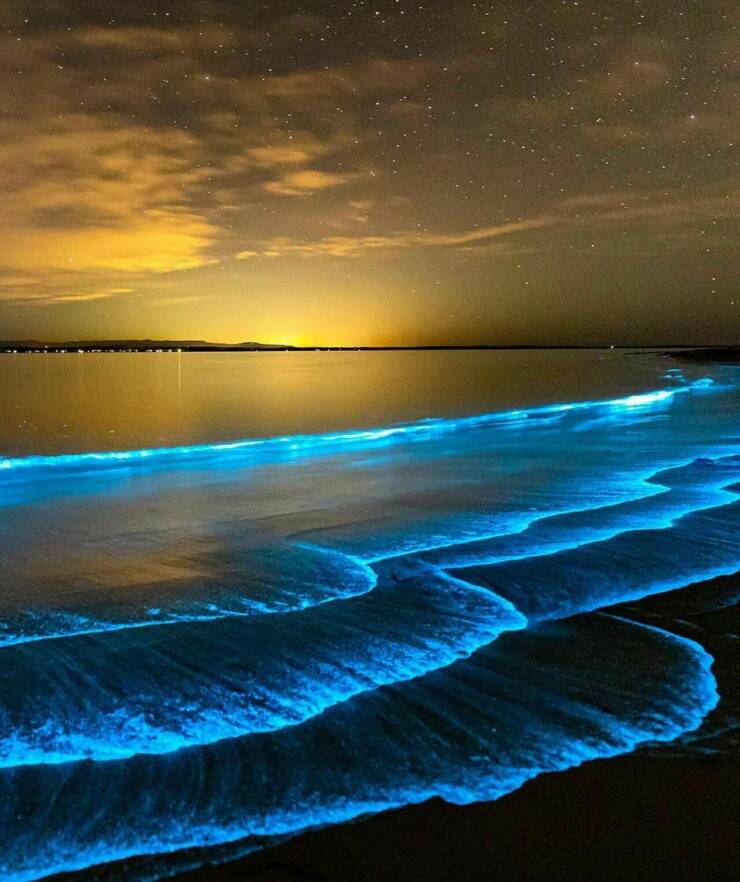 cool random pics - bioluminescent algae in jervis bay australia
