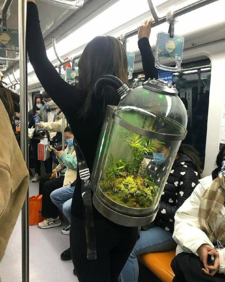 daily dose of pics and memes - terrarium backpack - 7775 Histo Sipa