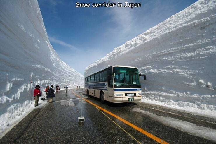 cool random pics - norway heavy snow - Snow corridor in Japan 1761 Pedr 9504 ky sht