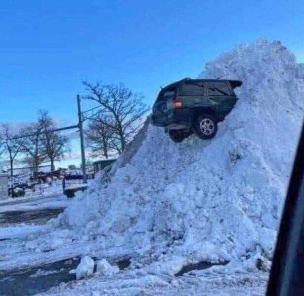 funny random pics - buffalo jeep in snow