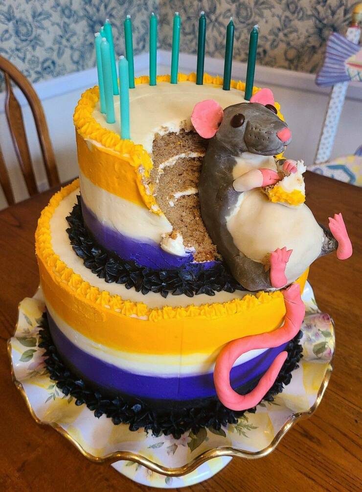 funny random pics - rat birthday cake