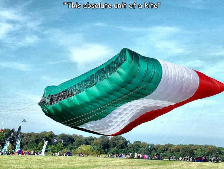 fun random pics -  biggest kite in the world - "This absolute unit of a kite" 2440