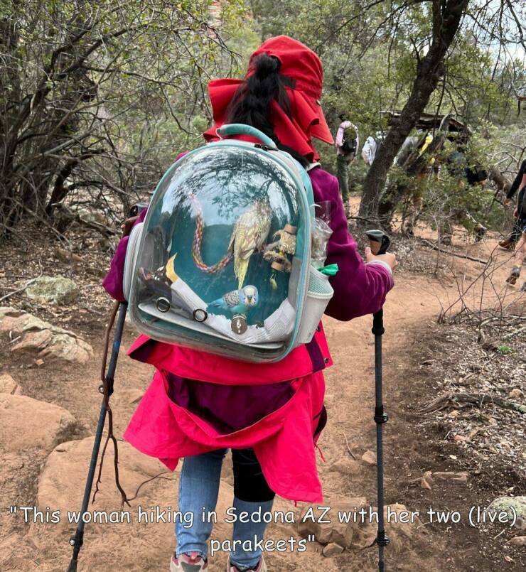 fun random pics -  tree - "This woman hiking in Sedona Az with her two live parakeets"