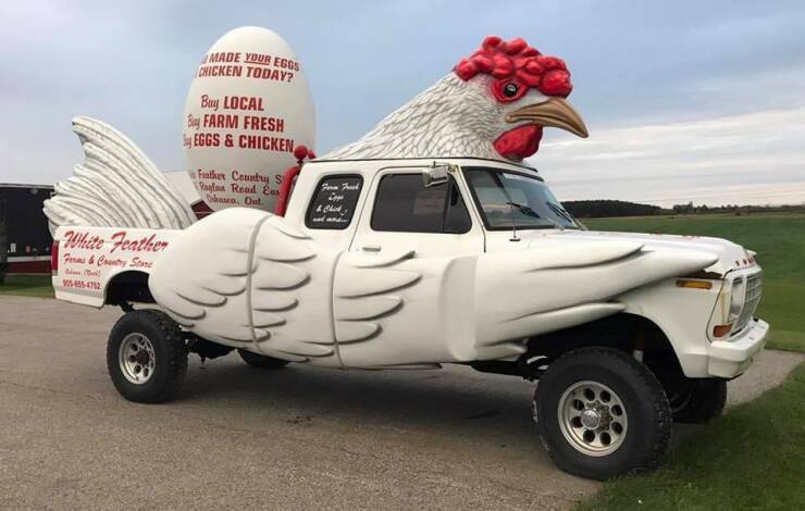 cool random pics - pickup truck - White Feather Forms & Country Stre Boll 3054554752 Made Your Eggs Chicken Today? Buy Local B Farm Fresh Eggs & Chicken Father Country S Raglan Read Eas kasen. Out. Form Frisk Eppe & Chick