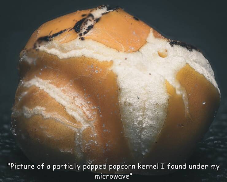 cool random pics - baked goods - "Picture of a partially popped popcorn kernel I found under my microwave"