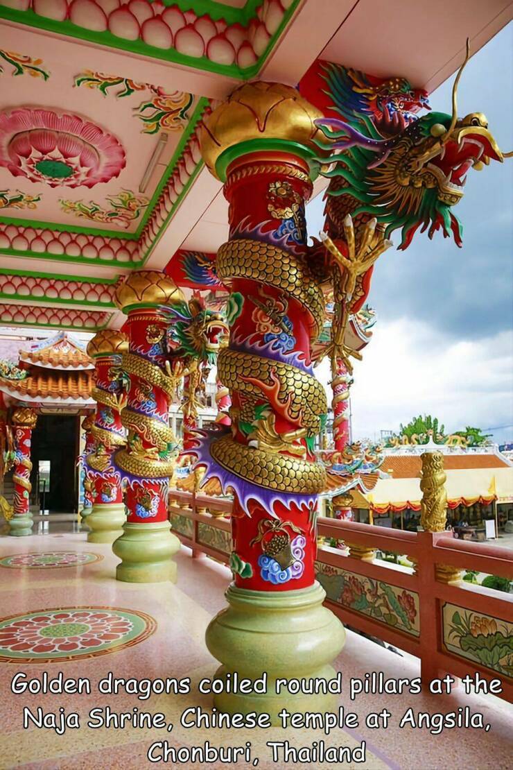 cool random pics - naja chinese temple - ummm uc Coo Golden dragons coiled round pillars at the Naja Shrine, Chinese temple at Angsila, Chonburi, Thailand