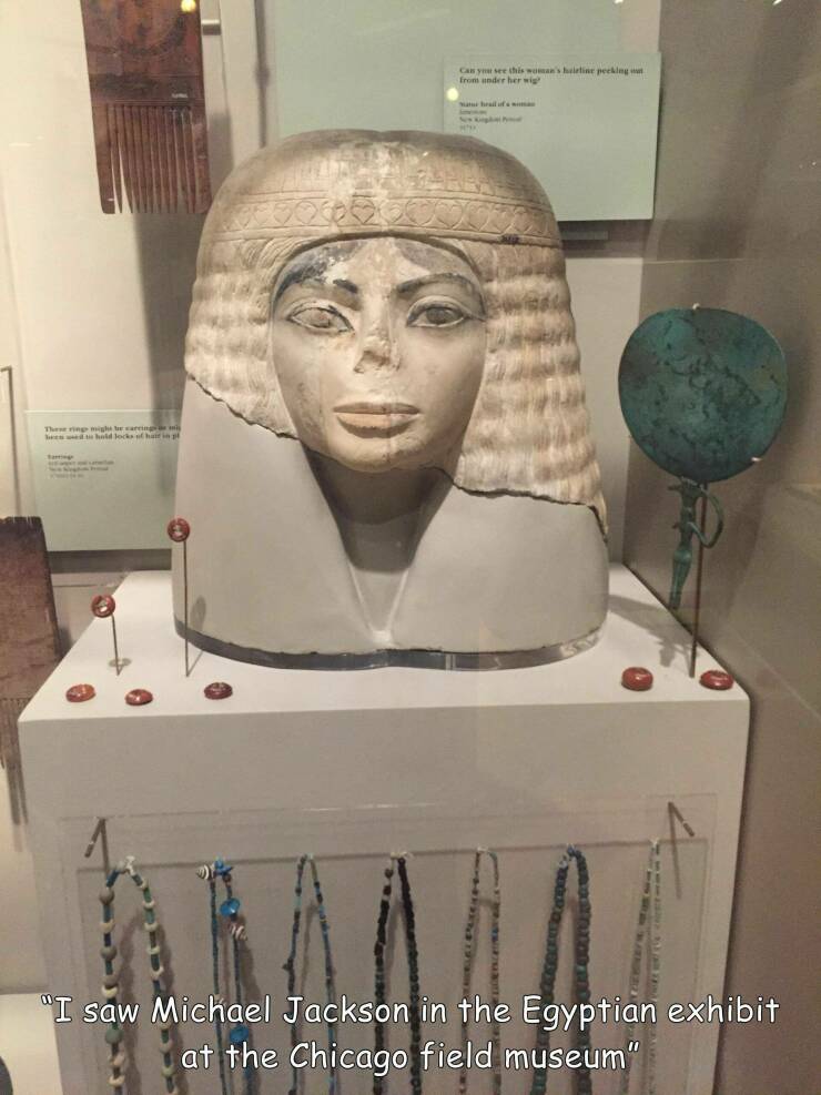 cool random pics - field museum - These ring might be carrings bewed to hold locks of hair in pl tarring prod Can you see this woman's hairline peeking from under her wig matur brail of a woman Kirghiat Food "I saw Michael Jackson in the Egyptian exhibit 