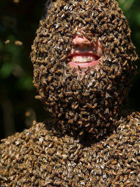 cool random pics - man covered with bees - Gap Miten
