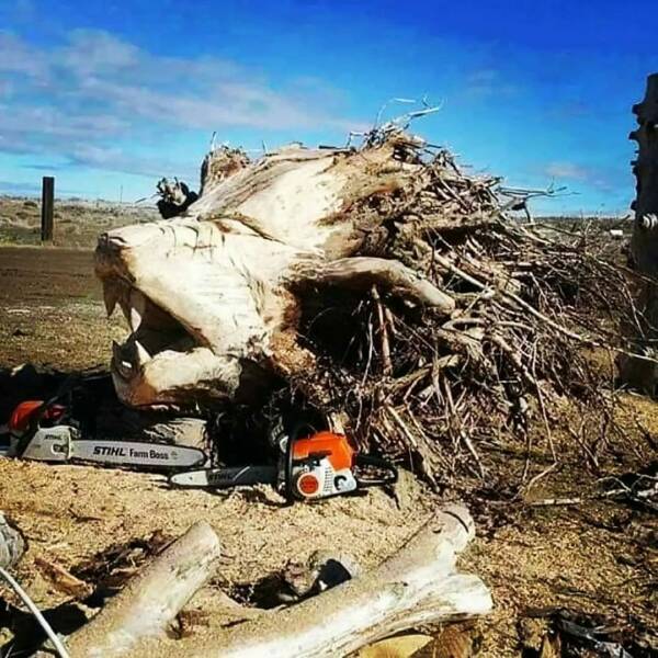 cool random photos - Woodworking - Stihl Farm Boss