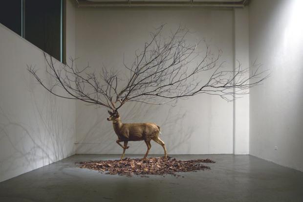 "Untitled Dear taxidermy, Branch, Leaves." by MyeongBeom Kim