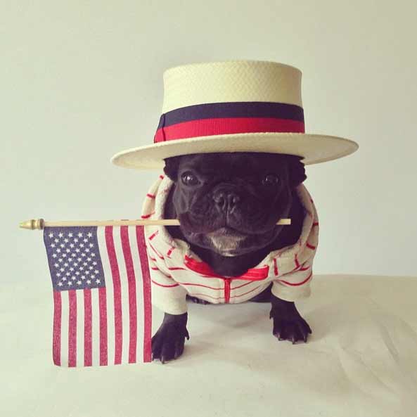 19 Animals That Think Theyre People