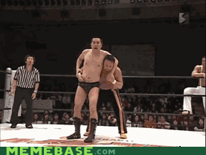 Pro Wrestling Hilarious and Awesome