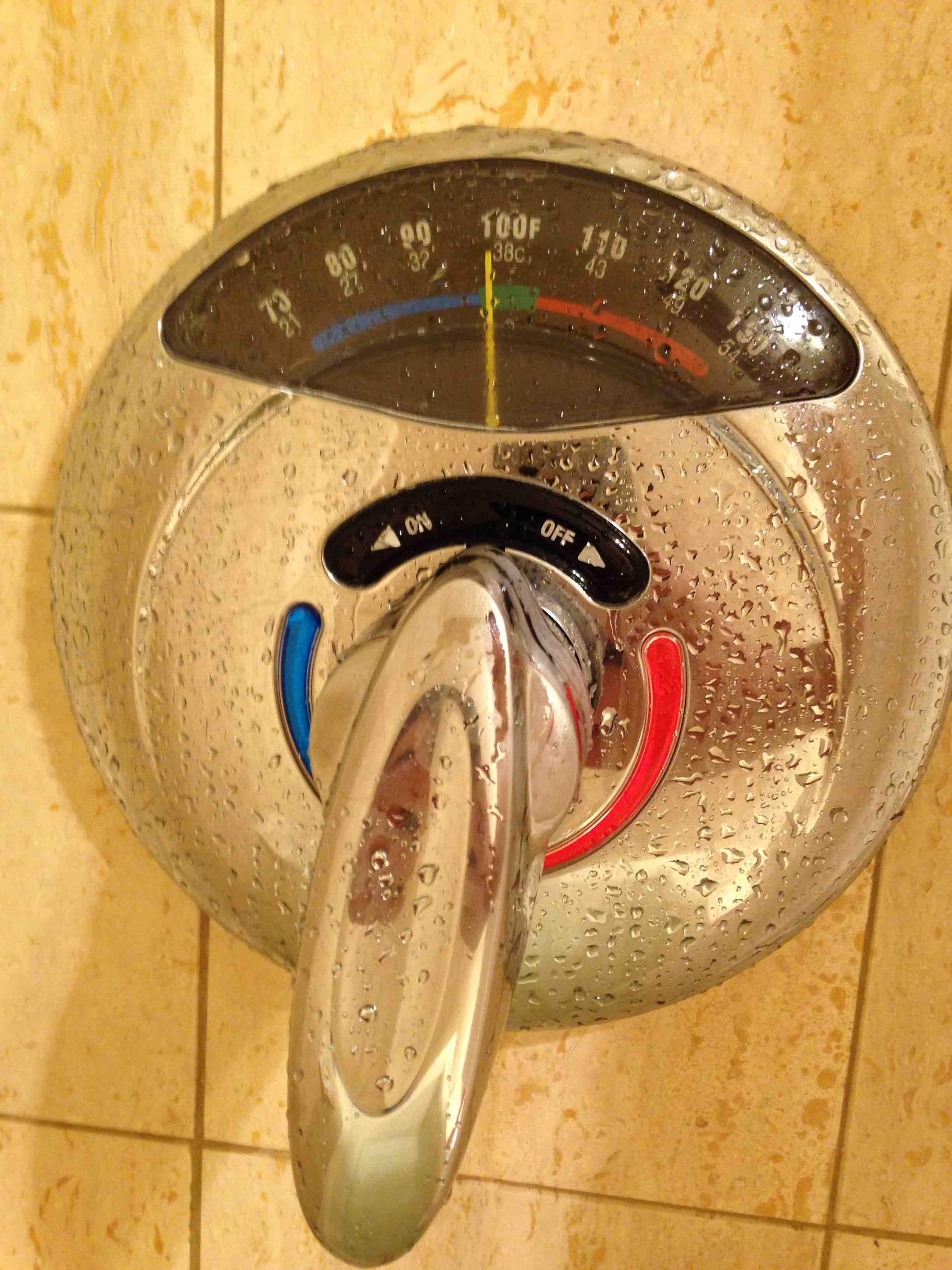 Shower handle with a thermometer