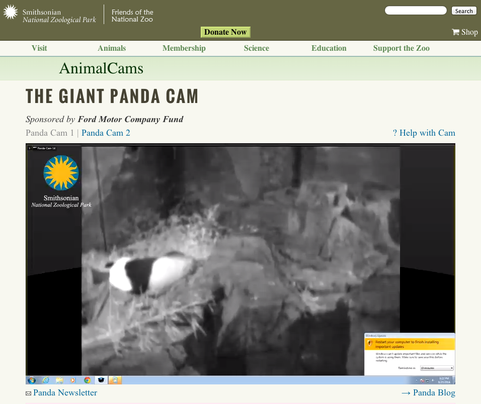 <a href="http://ebaum.it/1redU1V" target="_blank">Giant Panda Cam</a>. Pandas can produce up to 48 lbs. of poop per day, and now you can find out for yourself!