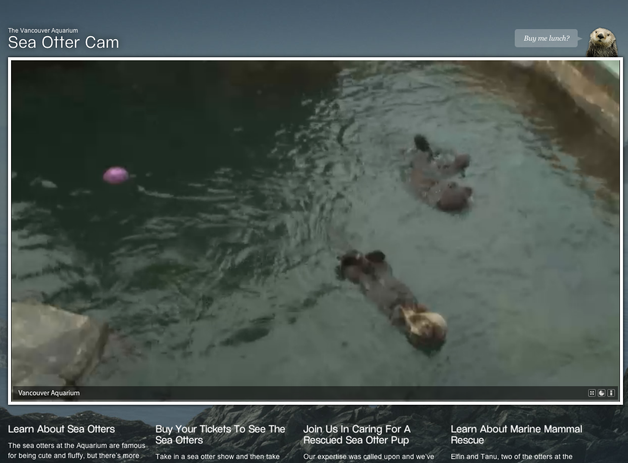 <a href="http://ebaum.it/1sKonls" target="_blank">Otter Cam</a> at the Vancouver Aquarium