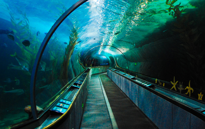 15 Aquariums That Will Make You Wish You Were A Fish