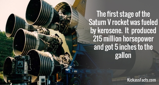 19 Fascinating Science Facts