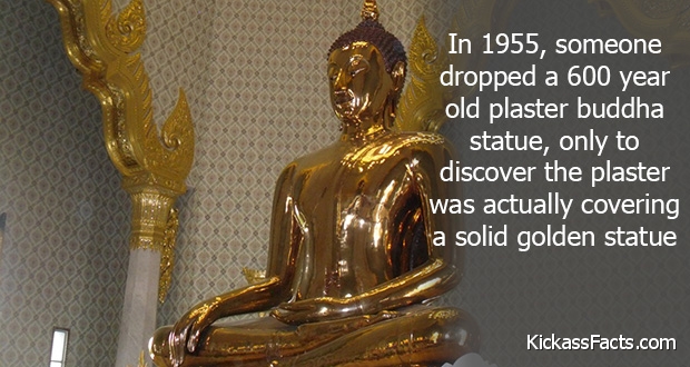 21 Completely Surprising Facts