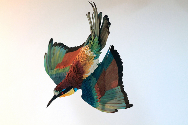 Amazing Paper Creations Dump