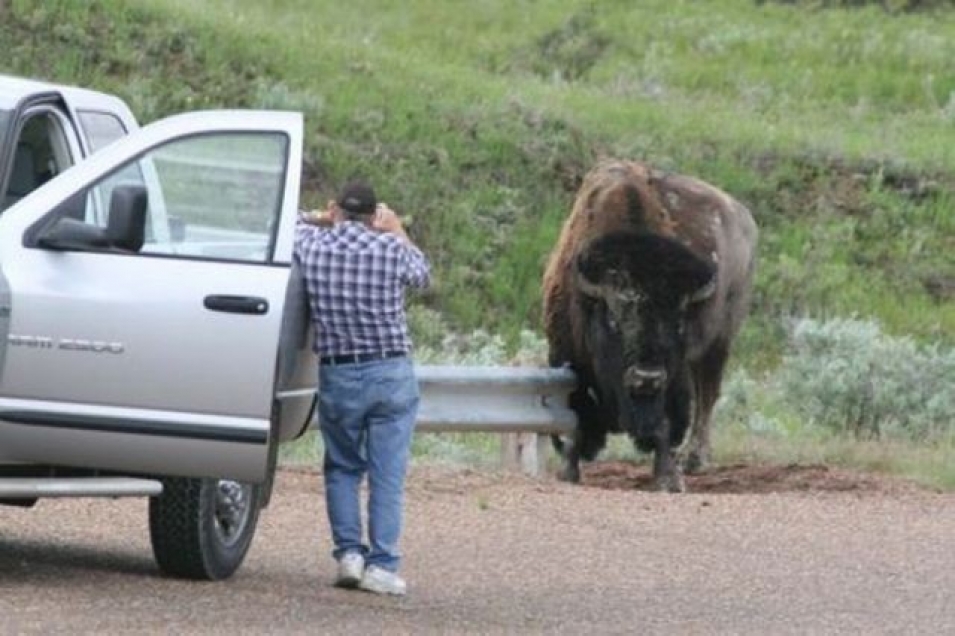 Future Darwin Award Winners